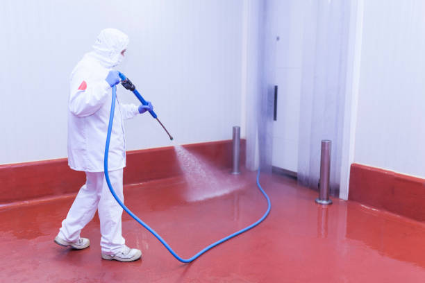 Best Solar Panel Cleaning  in Red Bay, AL